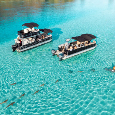 Snorkeling Tour 005