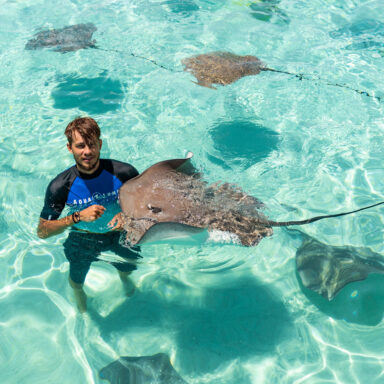 Snorkeling Tour 010