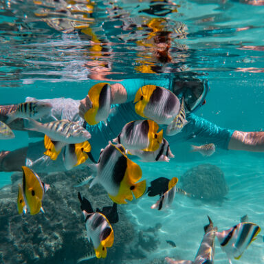 Snorkeling Tour 011