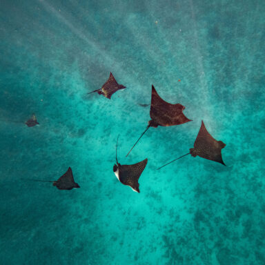 Snorkeling Tour 012